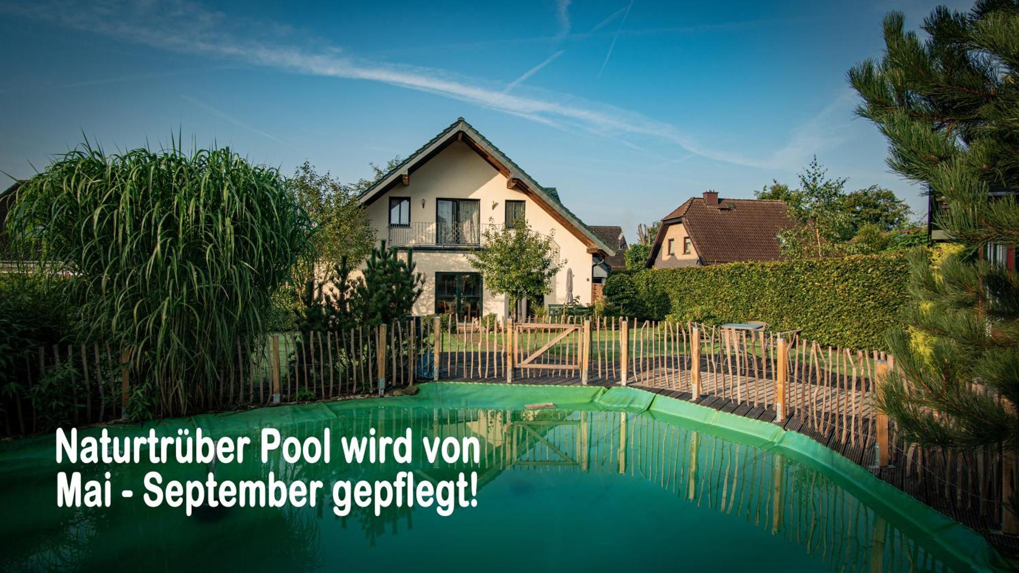 Ferienhaus Mountfrosch Mit Sauna Und Naturpool Monschau Luaran gambar